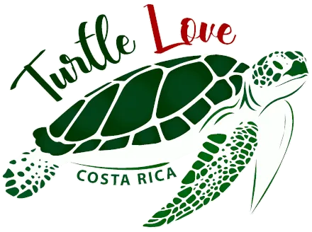 Turtle Love Costa Rica
